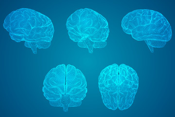 探索HTML中的下一页功能，实现与优化策略