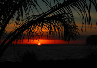 揭秘网站源码，从基础到进阶的全面解析