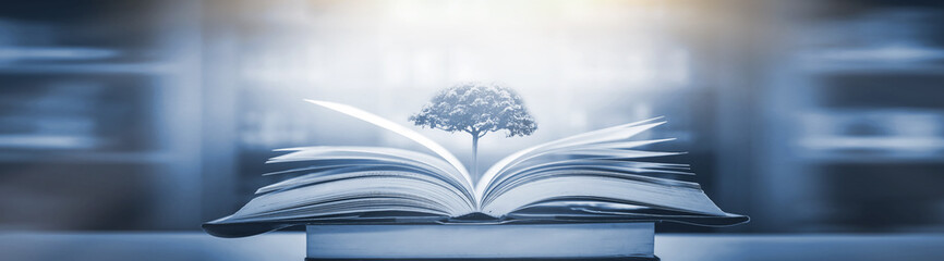 探索Python世界，精选源码分享网站大揭秘