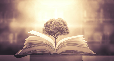 学生个人网页制作，从零开始构建你的HTML小世界