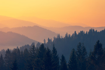 揭秘网站源码，从基础到进阶的全面解析