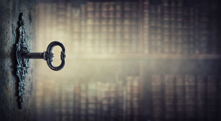 VLOOKUP函数，Excel中的数据查找与提取神器