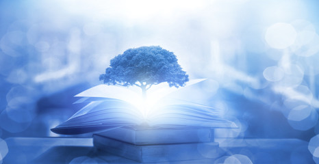 Java零基础自学指南，从入门到进阶的全面教程