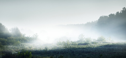 学生个人网页制作，从零开始构建你的HTML小世界