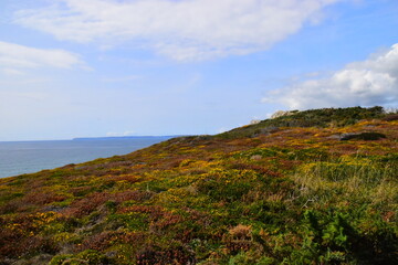 VLOOKUP函数，Excel中的数据查找与提取神器