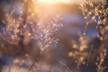 Vue代码生成器，提升开发效率的智能工具