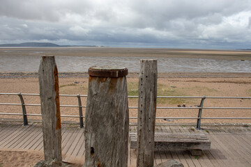 Python编程，解锁网页版开发的无限可能