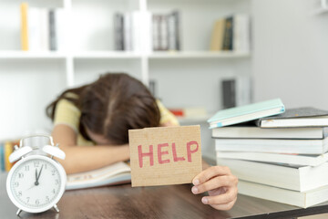 深入探索Java编程语言，从基础到进阶的全面指南