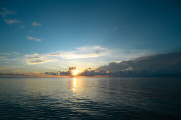 手机编程，用APP解锁创意与效率的编程新世界