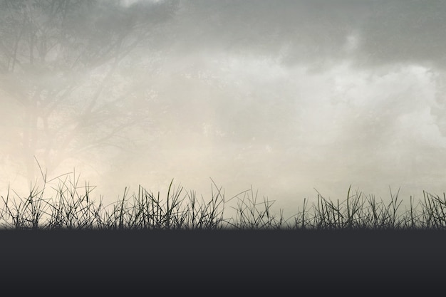 C语言基础知识入门，从零开始探索编程世界