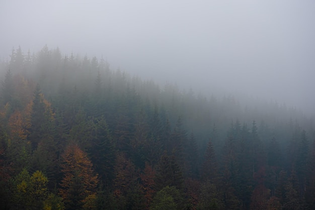 揭秘网站源码，从基础到进阶的全面解析