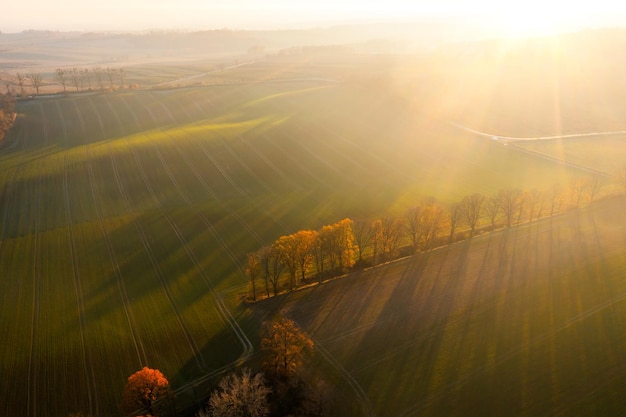 Vue代码生成器，提升开发效率的智能工具