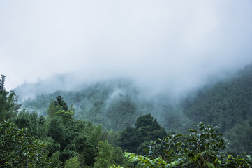 手机编程，用APP解锁创意与效率的编程新世界